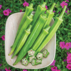 Okra - Baby Bubba
