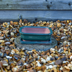 Bonsai Pot and Saucer - Green 15cm