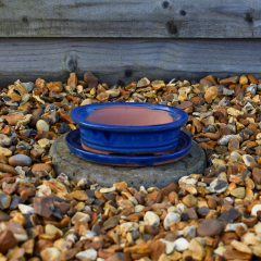 Bonsai Pot Blue - 15cm