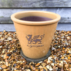'Cymru' Yellow Glazed Planter - Medium 27cm
