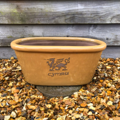 'Cymru' Yellow Glazed Trough - Medium 43cm