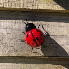 Small Metal Ladybird