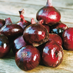 Onion - Red Baron