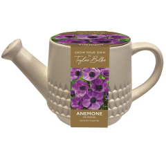Indoor Watering Can Planter