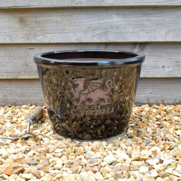 Cymru Welsh Dragon Black Large Glazed Bowl