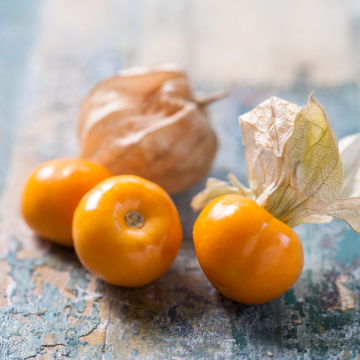 Cape Gooseberry 'Goldvital Maxi'