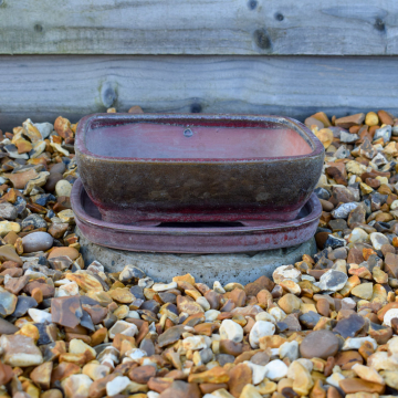 Bonsai Pot and Saucer - Red 21cm