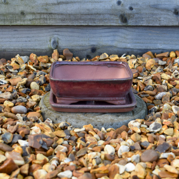 Bonsai Pot and Saucer - Red 15cm