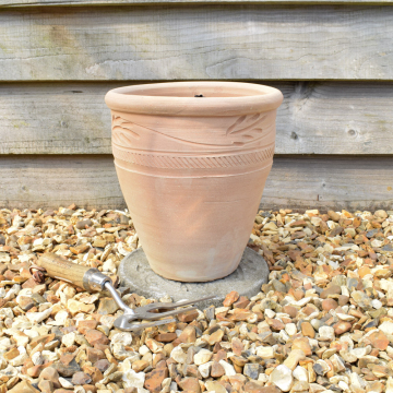 'Kahari Fern' Terracotta Planter 22cm