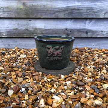 'Cymru' Green Glazed Bowl - Small 21cm
