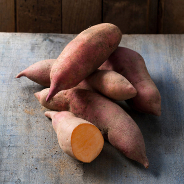 Sweet Potato - Vineland Early Orange
