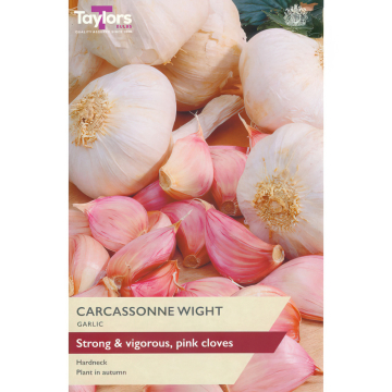 Garlic 'Carcassonne Wight' 1 x Bulb Garlic 'Carcassonne Wight' 1 x Bulb