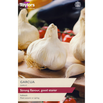 Garlic 'Garcua' 2 x Bulb Garlic 'Garcua' 2 x Bulb