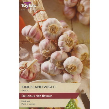 Garlic 'Kingsland Wight' 1 x Bulb Garlic 'Kingsland Wight' 1 x Bulb