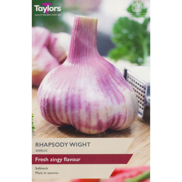 Garlic 'Rhapsody Wight' 1 x Bulb Garlic 'Rhapsody Wight' 1 x Bulb