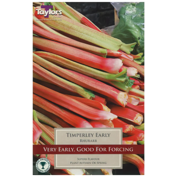 Rhubarb 'Timperley Early' Rhubarb 'Timperley Early'