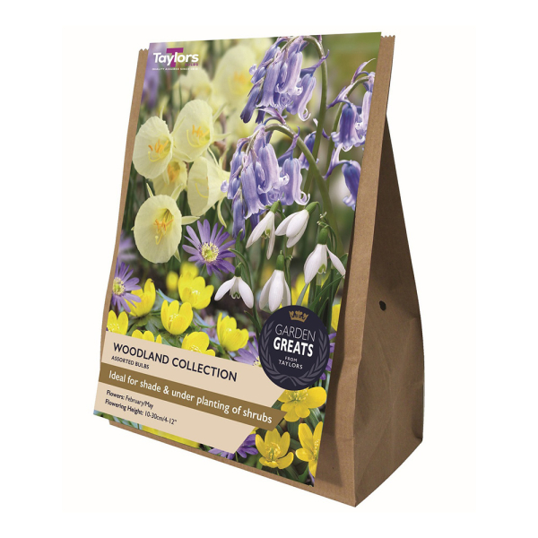 Woodland Collection - 40 Bulbs
