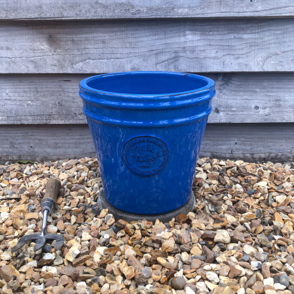 Blossom Orchard Medium Cone - Blue