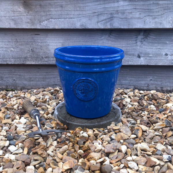 Blossom Orchard Small Cone - Blue