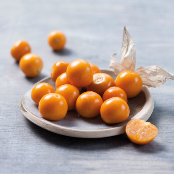 Cape Gooseberry - Goldvital Cape Gooseberry - Goldvital