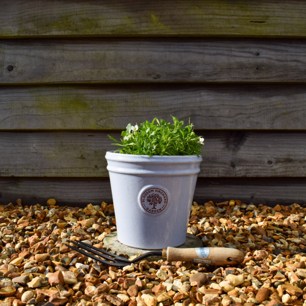 Blossom Orchard Light Blue Planter - Small
