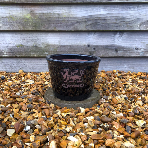 'Cymru' Black Glazed Bowl - Small 21cm
