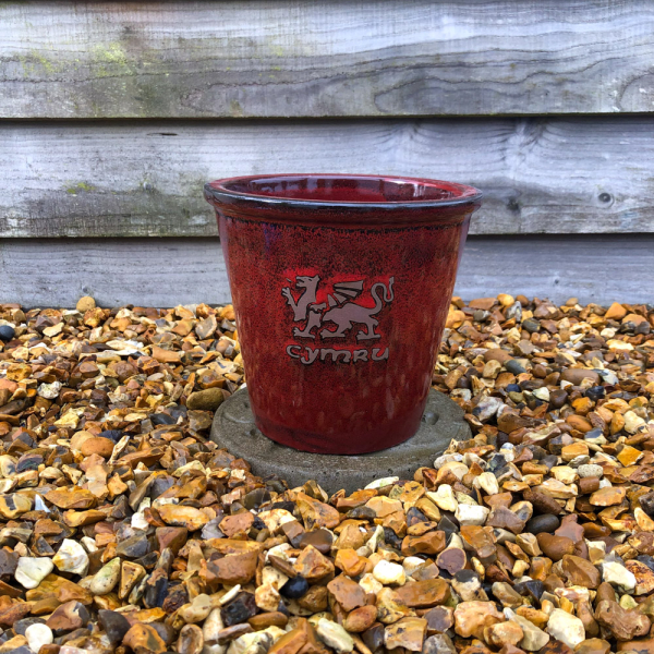 'Cymru' Red Glazed Planter - Small 21cm