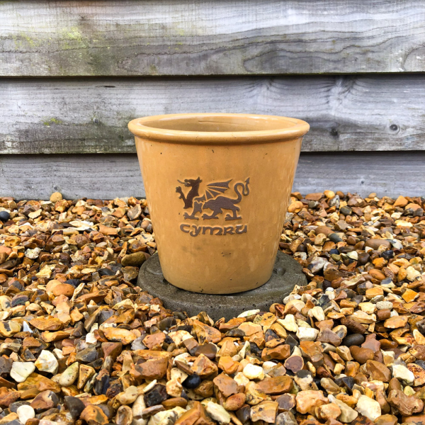 'Cymru' Yellow Glazed Planter - Small 21cm