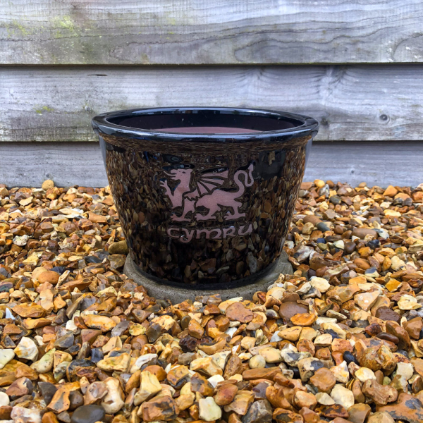 'Cymru' Black Glazed Bowl - Medium 27cm 'Cymru' Black Glazed Bowl - Medium 27cm