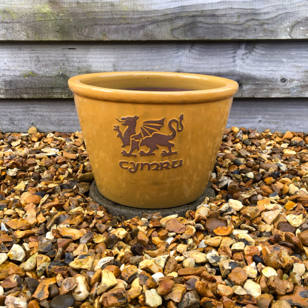 'Cymru' Yellow Glazed Bowl - Medium 27cm