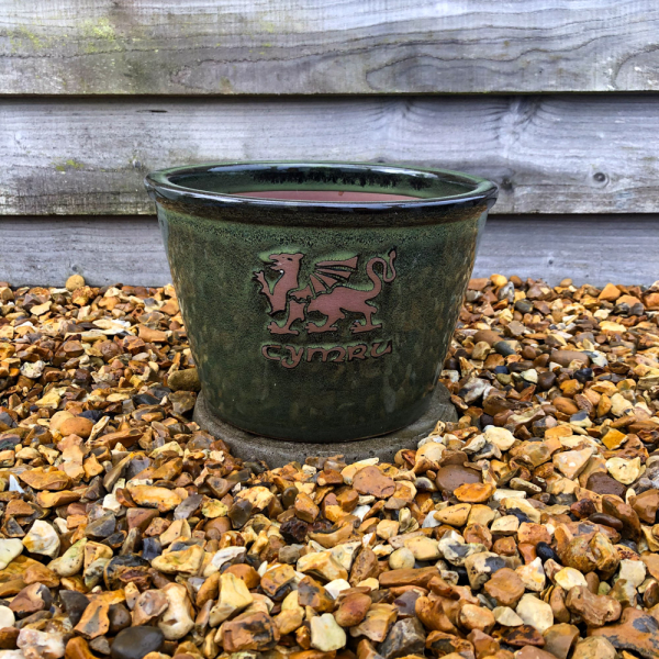 'Cymru' Green Glazed Bowl - Medium 27cm