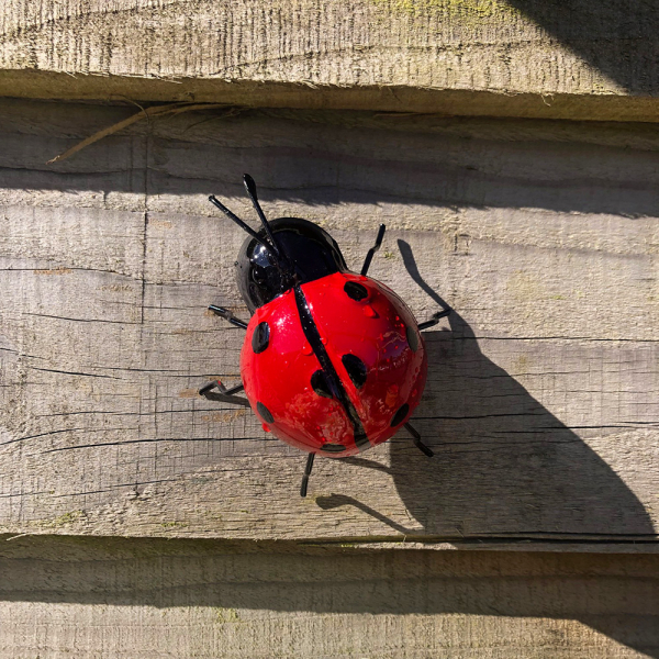 Small Metal Ladybird Small Metal Ladybird