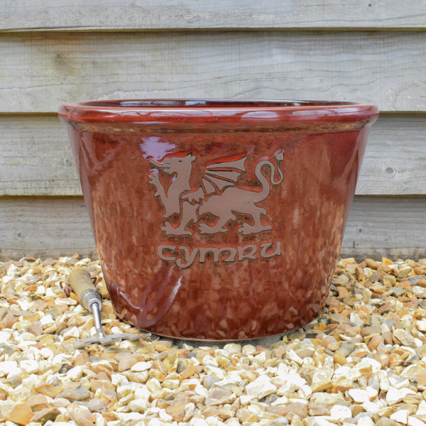 Cymru Extra Large Red Bowl Cymru Extra Large Red Bowl