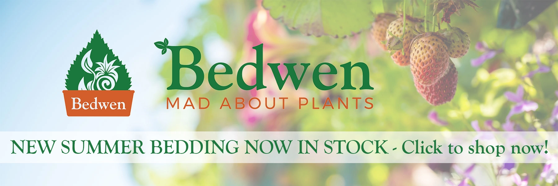 spring_plants_in_stock