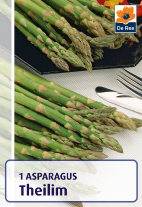 Asparagus 'Theilim'