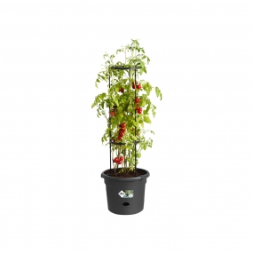 ELHO Black Tomato Pot 33cm 