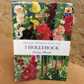 Hollyhock 'Alcea Mixed'