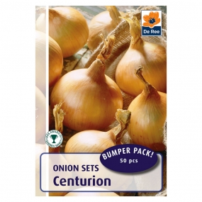 Onion 'Centurion'
