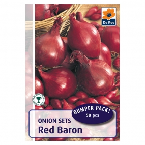 Onion 'Red Baron'