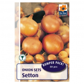 Onion 'Setton'