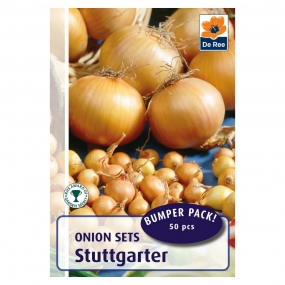 Onion 'Stuttgarter'