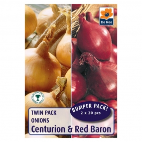 Onions 'Centurion & Red Baron'