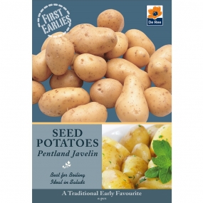 Potato 'Pentland Javelin'