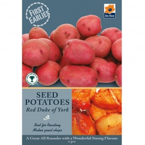 Potato 'Red Duke of York'