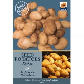 Potato 'Rocket'