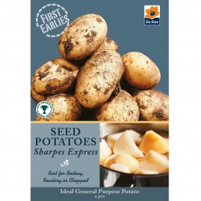 Potato 'Sharpes Express'