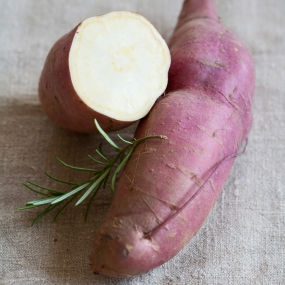 Sweet Potato 'Erato White'
