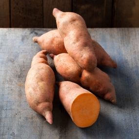 Sweet Potato 'Erato Vineland Compact Orange'