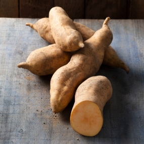 Sweet Potato 'Erato Vineland Sunrise'