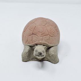 Small Tortoise